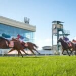 The Best Bets to Use at the Caulfield Racecourse