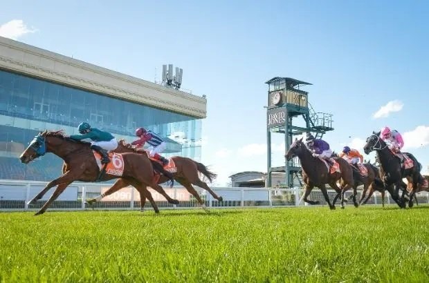 The Best Bets to Use at the Caulfield Racecourse